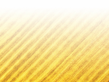 智能農(nóng)機(jī)、“訂單”服務(wù)、“云端”種菜——來(lái)自江西的春耕“新事”